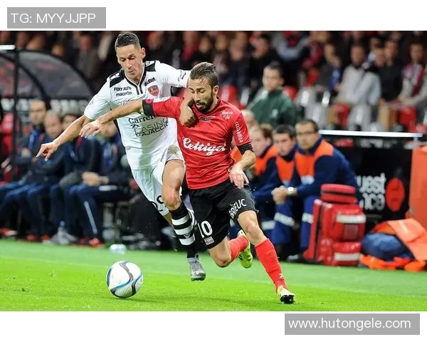 2019年2月尼奥特主场迎战南锡的精彩对决回顾与分析