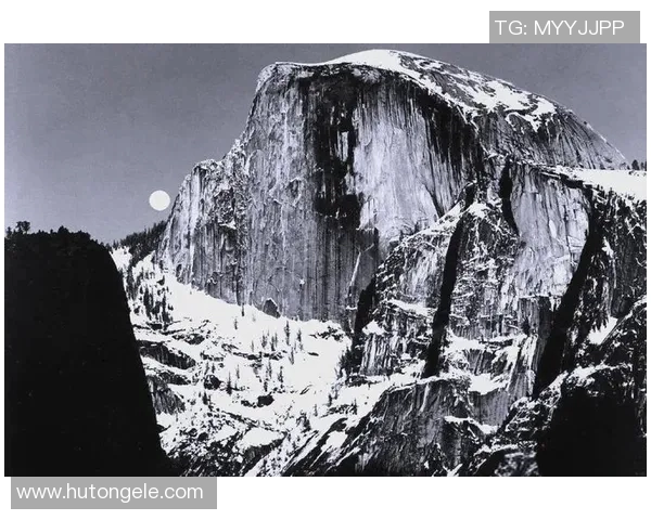 亚当斯的传奇人生与不凡成就探秘之旅 亚当斯的传奇人生与不凡成就探秘之旅