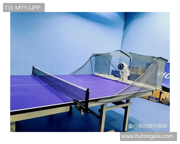 陈秀英独家分享乒乓球技巧与心得体会助你提升球技的秘密武器MBA