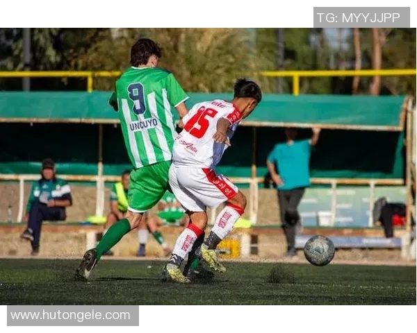 深入探讨杭州篮球队战术表现的数据分析与战术优化策略