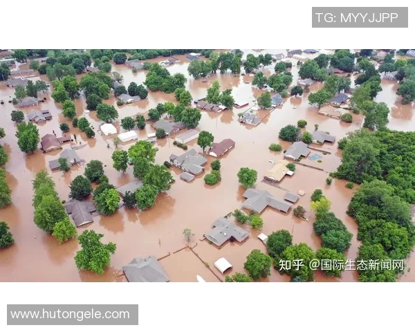 飓风与拉普拉塔体的较量：探讨两者在气候与生态中的影响与关系
