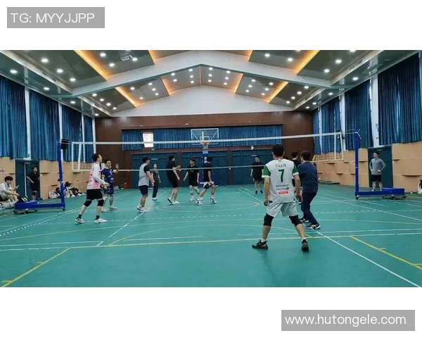 杭州排球队灵活性分析与表现评估探讨