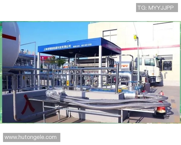 深度解析LNG市场转换策略与未来发展趋势